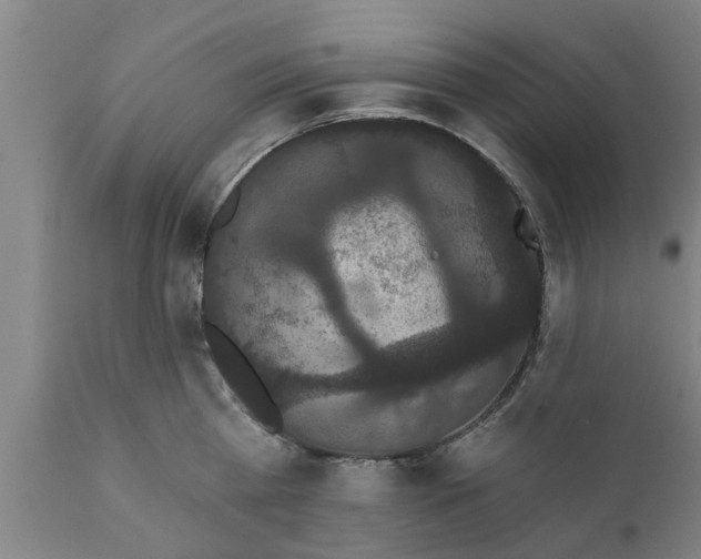 X0000111910809200908171300