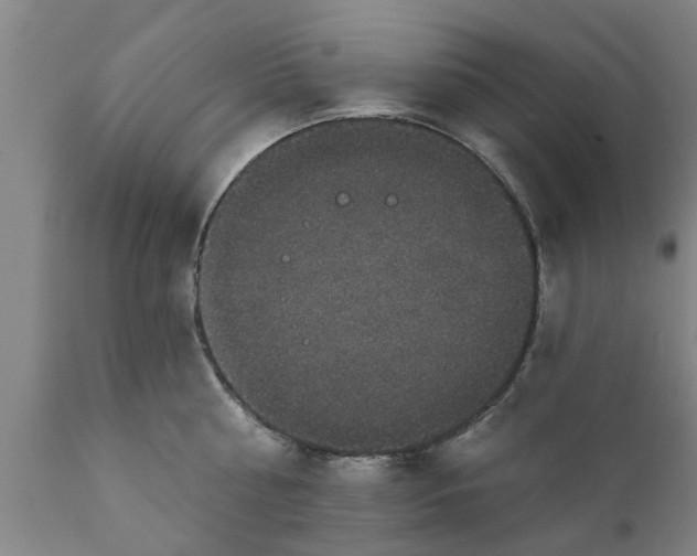 X0000111910810200908171300