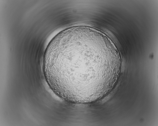 X0000111910812200908171300