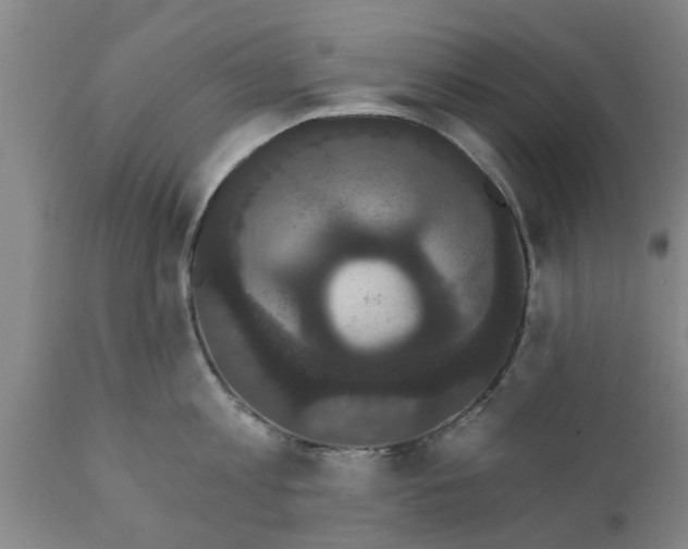 X0000111910813200908171300