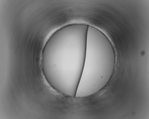 X0000111910815200908171300