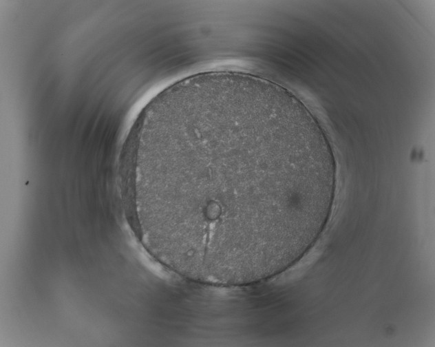 X0000111910816200908171300