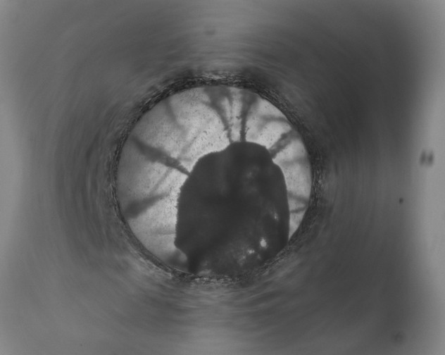 X0000111910817200908171259