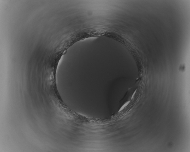 X0000111910818200908171259