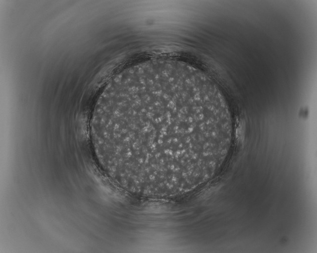 X0000111910819200908171259