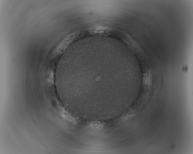 X0000111910820200908171259