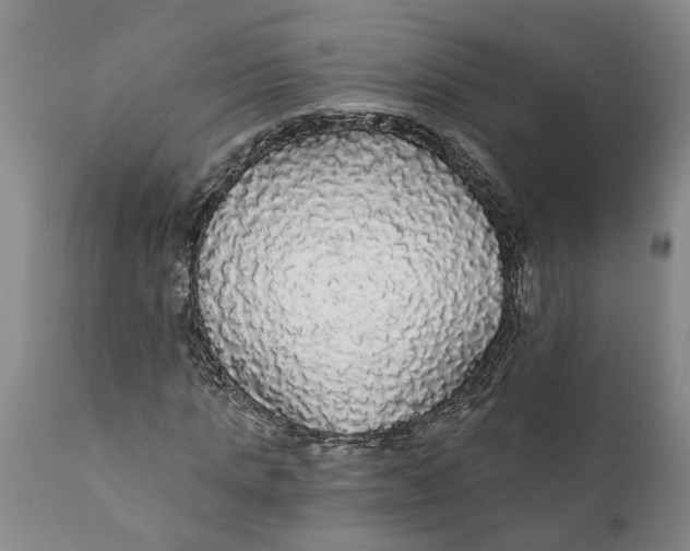 X0000111910821200908171259