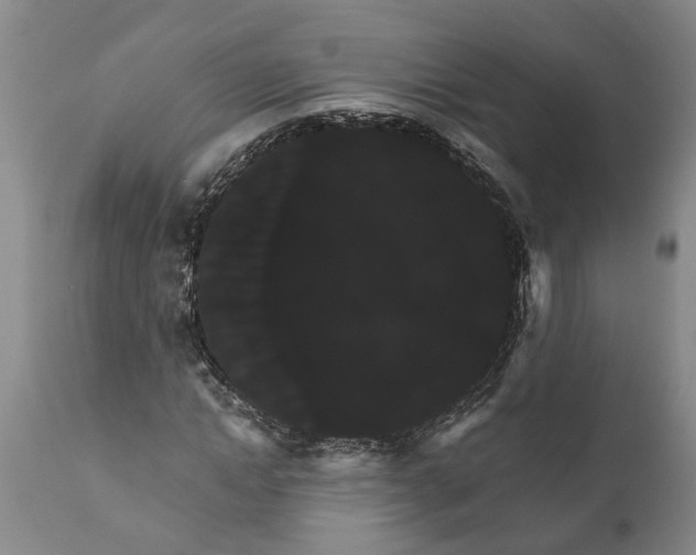 X0000111910822200908171259