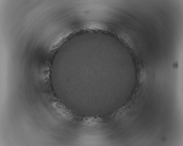 X0000111910824200908171259