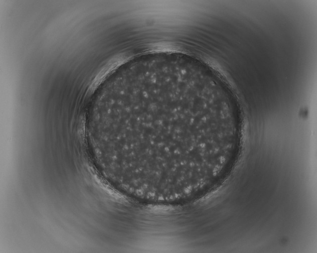 X0000111910825200908171259