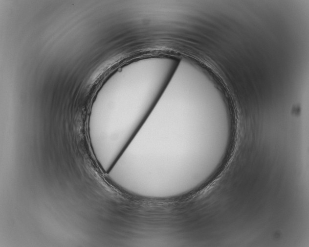 X0000111910826200908171259