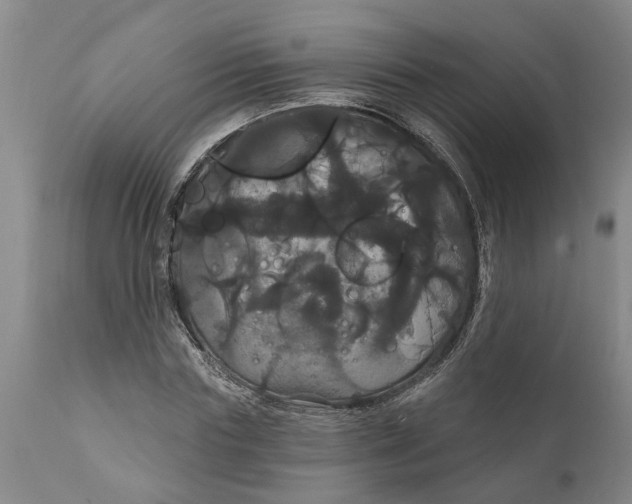 X0000111910827200908171300