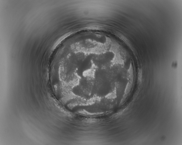 X0000111910829200908171300