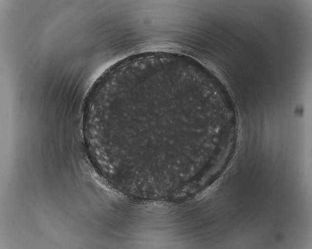 X0000111910830200908171300