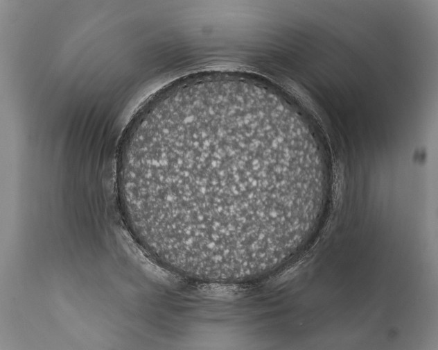 X0000111910831200908171300