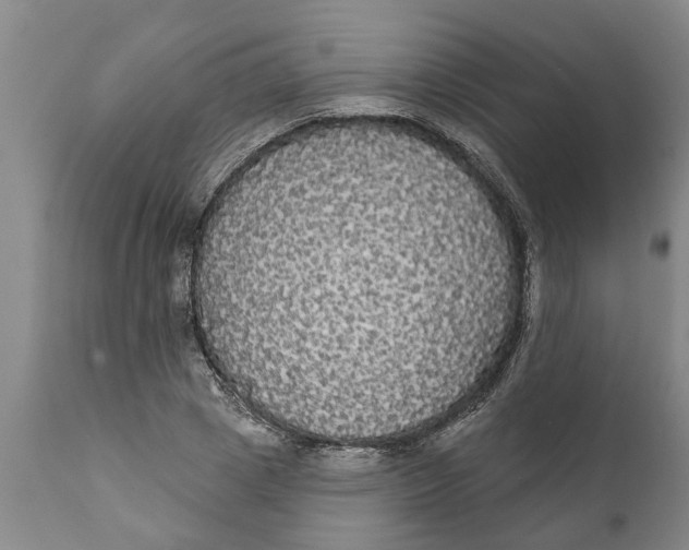 X0000111910833200908171300