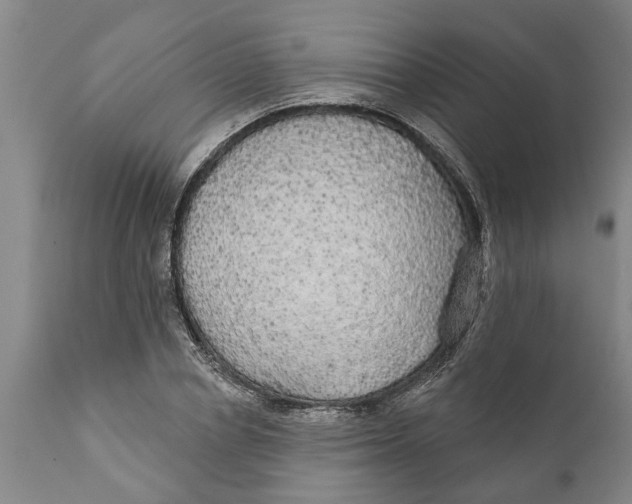 X0000111910834200908171300