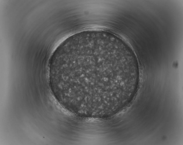 X0000111910835200908171300