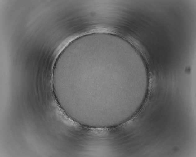 X0000111910836200908171300