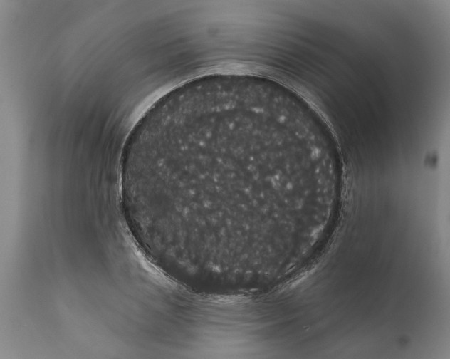 X0000111910837200908171300