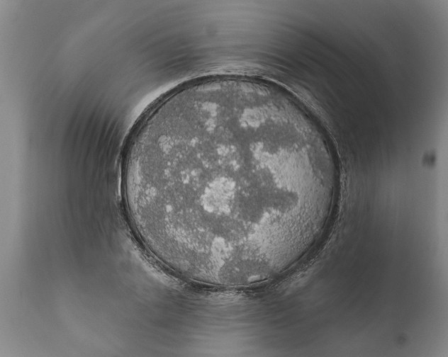 X0000111910838200908171300