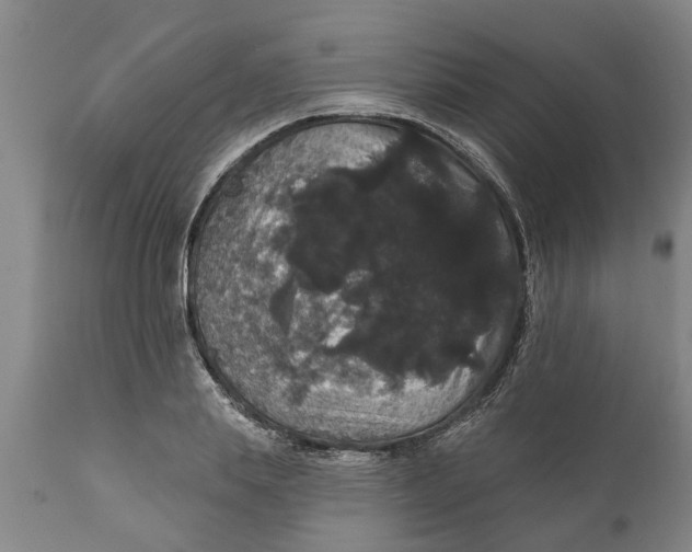 X0000111910839200908171300