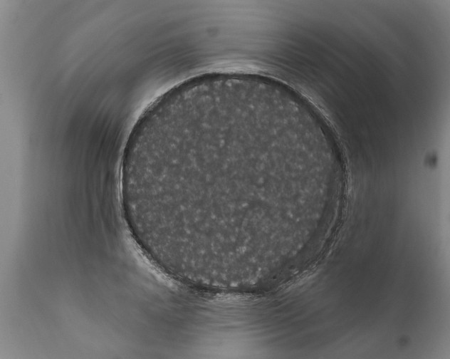 X0000111910840200908171300