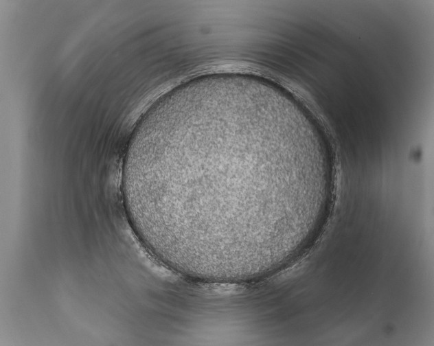 X0000111910841200908171300