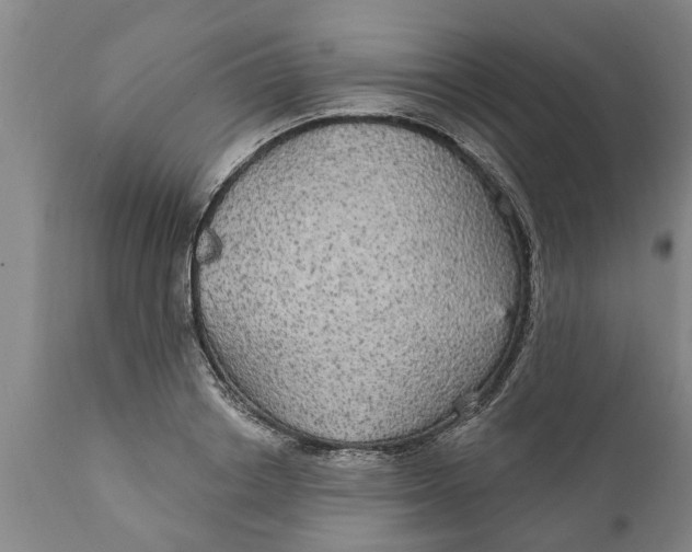 X0000111910842200908171300