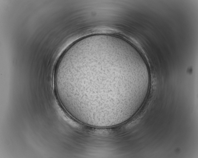 X0000111910843200908171300