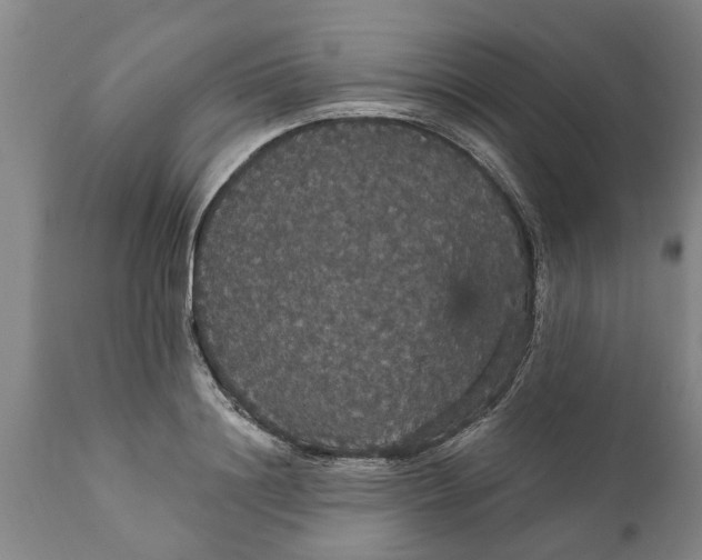 X0000111910844200908171300