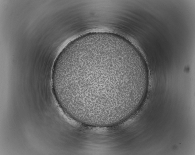 X0000111910845200908171300