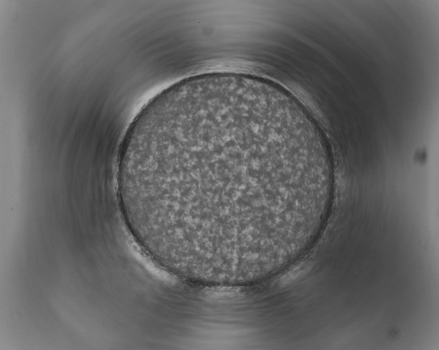 X0000111910846200908171300