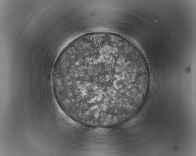 X0000111910847200908171300