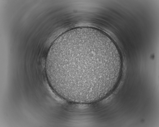 X0000111910849200908171300