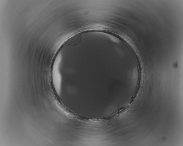 X0000111910850200908171300