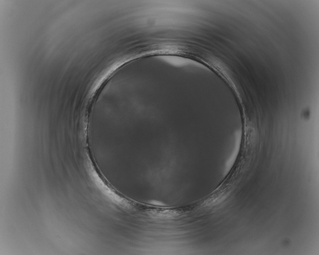 X0000111910851200908171300