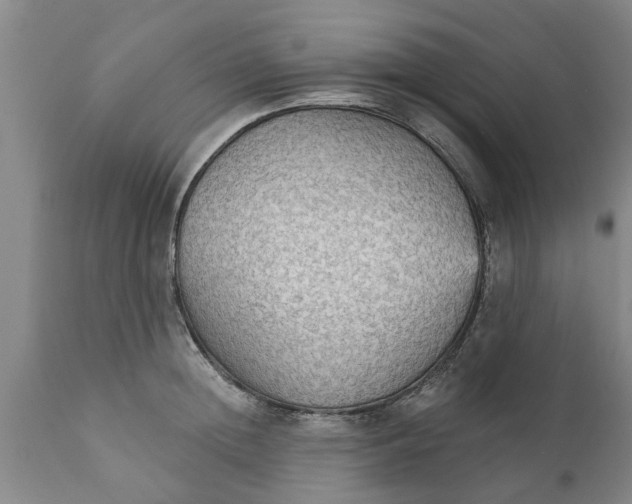 X0000111910852200908171300