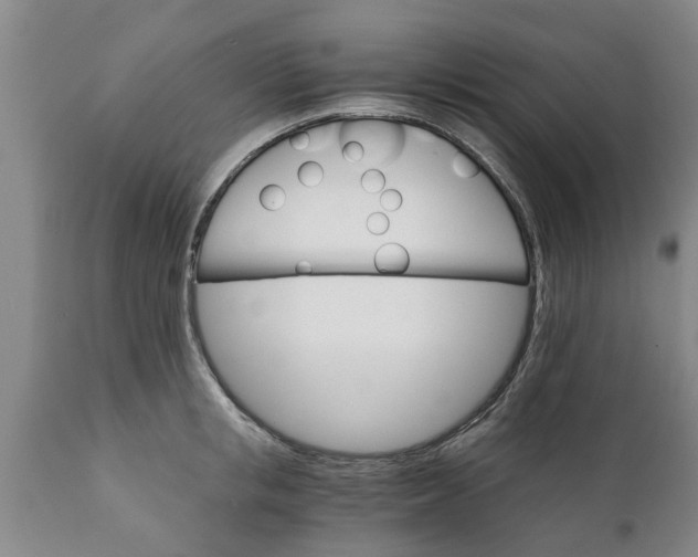 X0000111910853200908171300