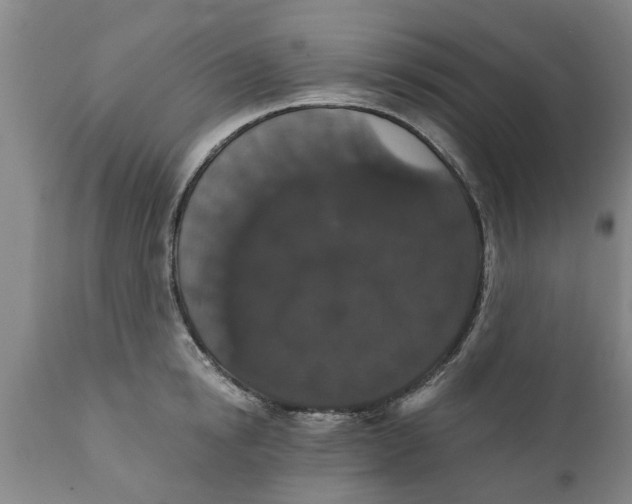 X0000111910854200908171300