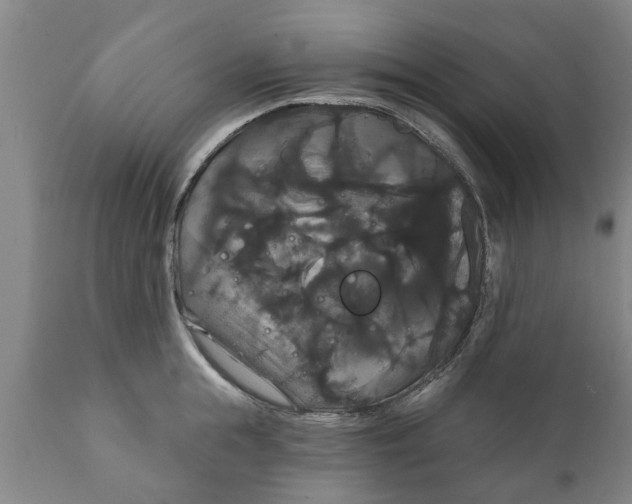 X0000111910855200908171300