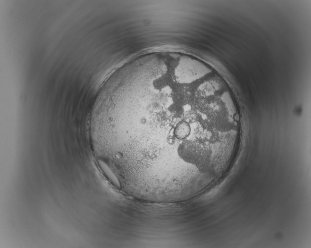 X0000111910857200908171300