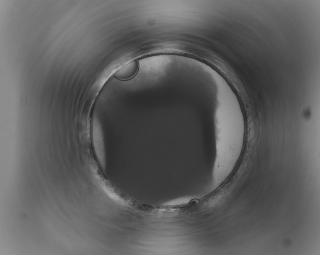 X0000111910858200908171300