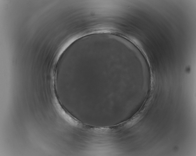 X0000111910859200908171300