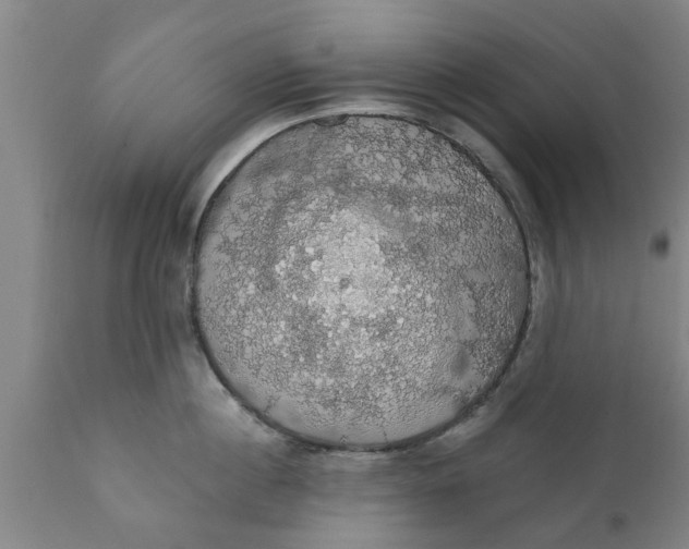 X0000111910860200908171300