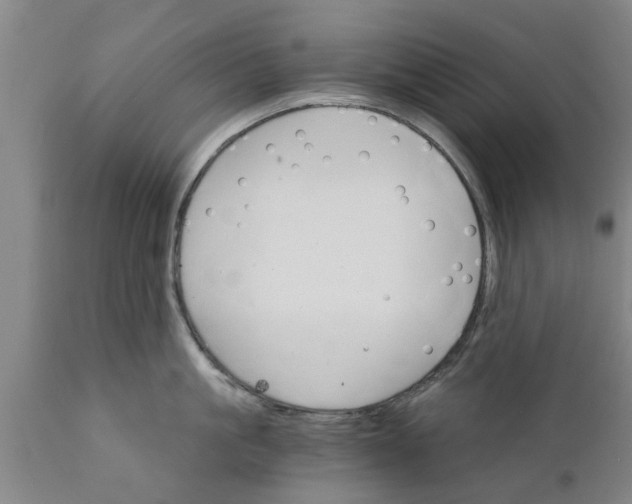 X0000111910861200908171300