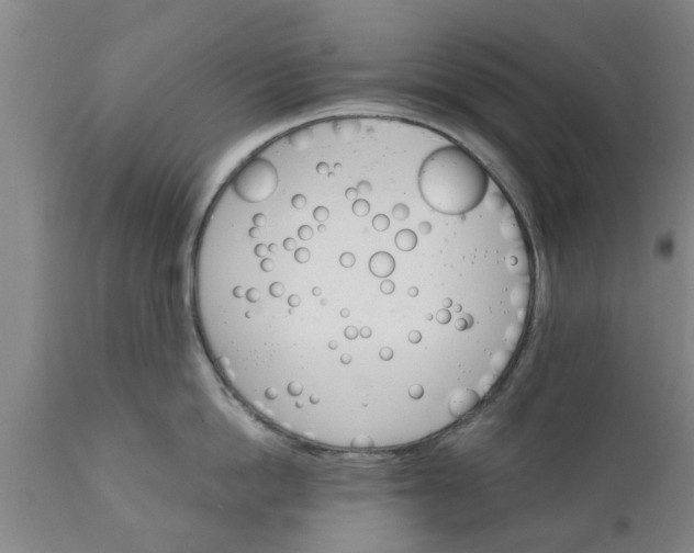 X0000111910862200908171300