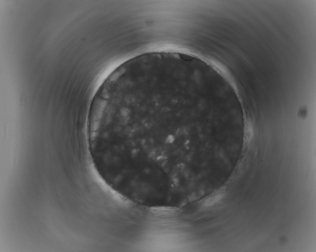 X0000111910863200908171300