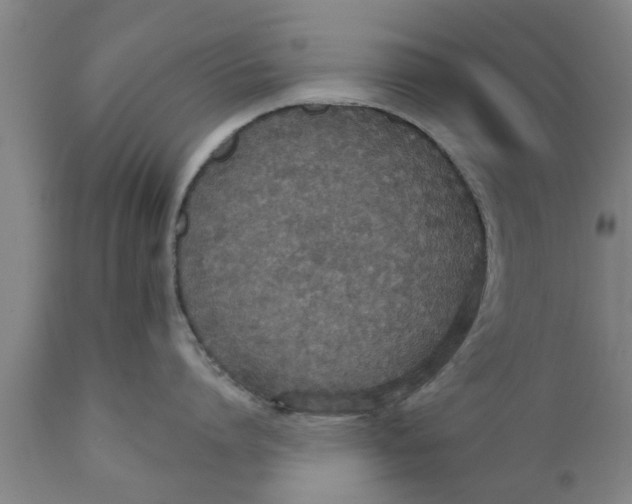 X0000111910864200908171300