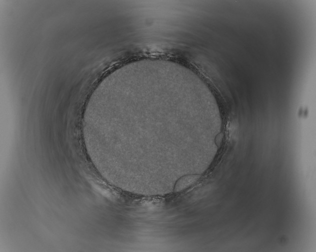 X0000111910865200908171259